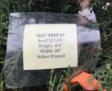 http://nurserytrees.com/Thin%20M13.jpg