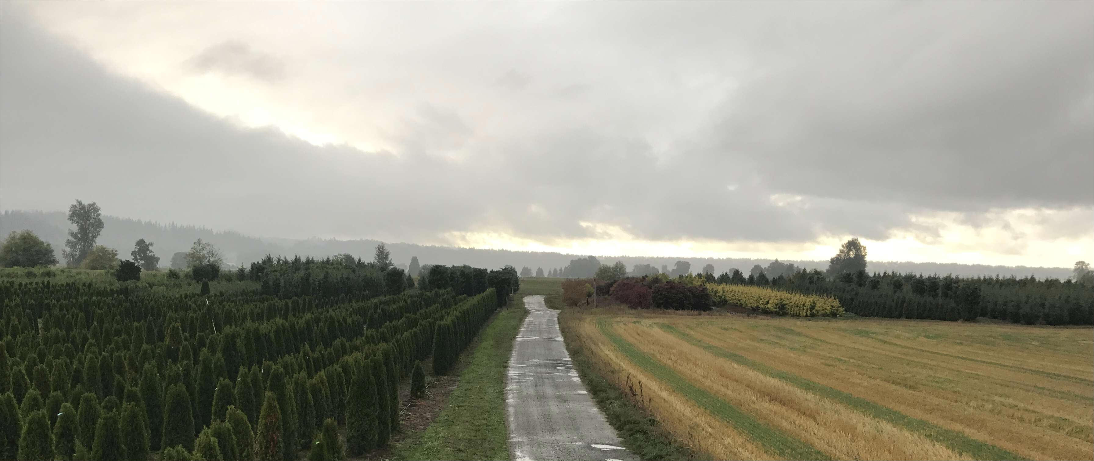 Entrance to our River Growing Fields