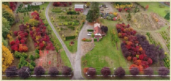NurseryTrees.com - Snohomish Tree Farm