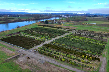Our Snohomish River Growing Fields